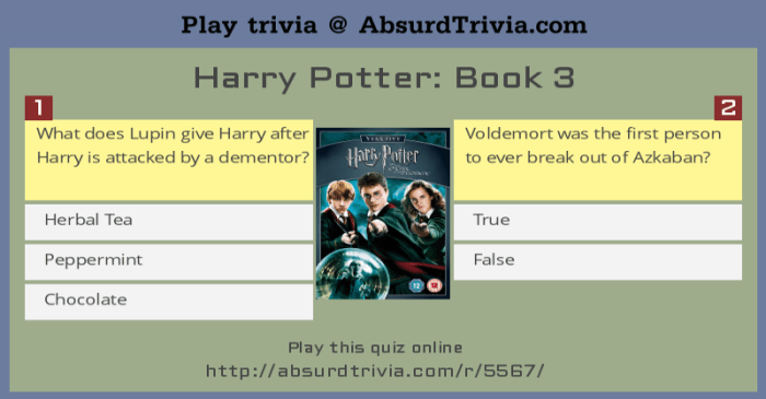 Harry potter book 3 quiz