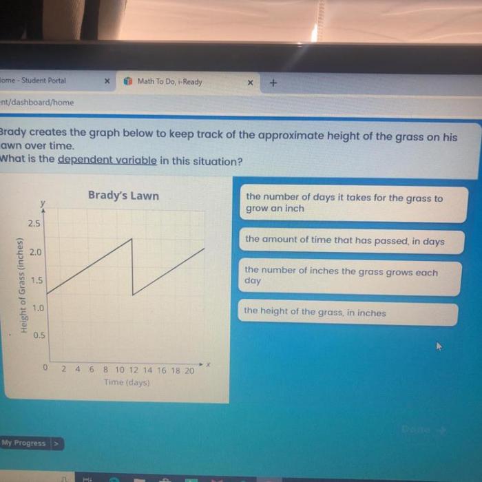 Brady creates the graph below