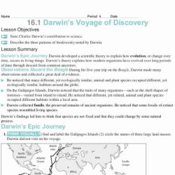 Darwin's natural selection worksheet answer