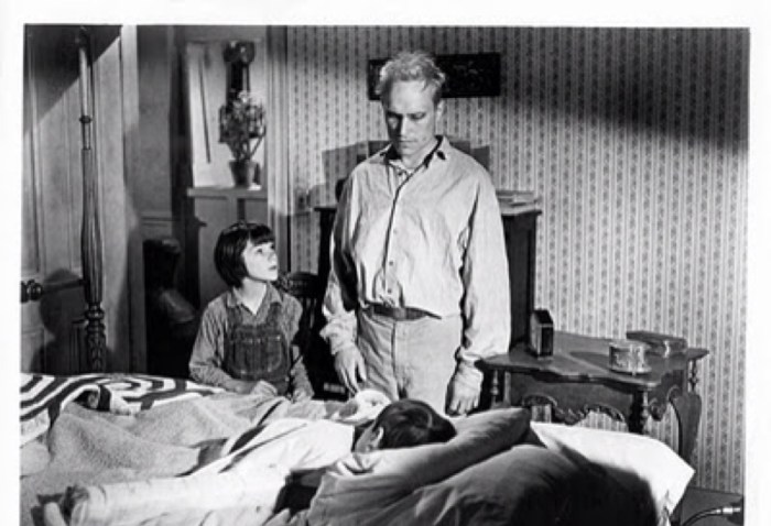 Did boo radley stab his father