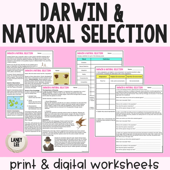 Darwin's natural selection worksheet answer