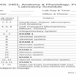 Biol 2401 anatomy and physiology i