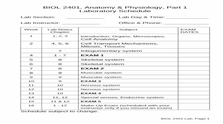 Biol 2401 anatomy and physiology i