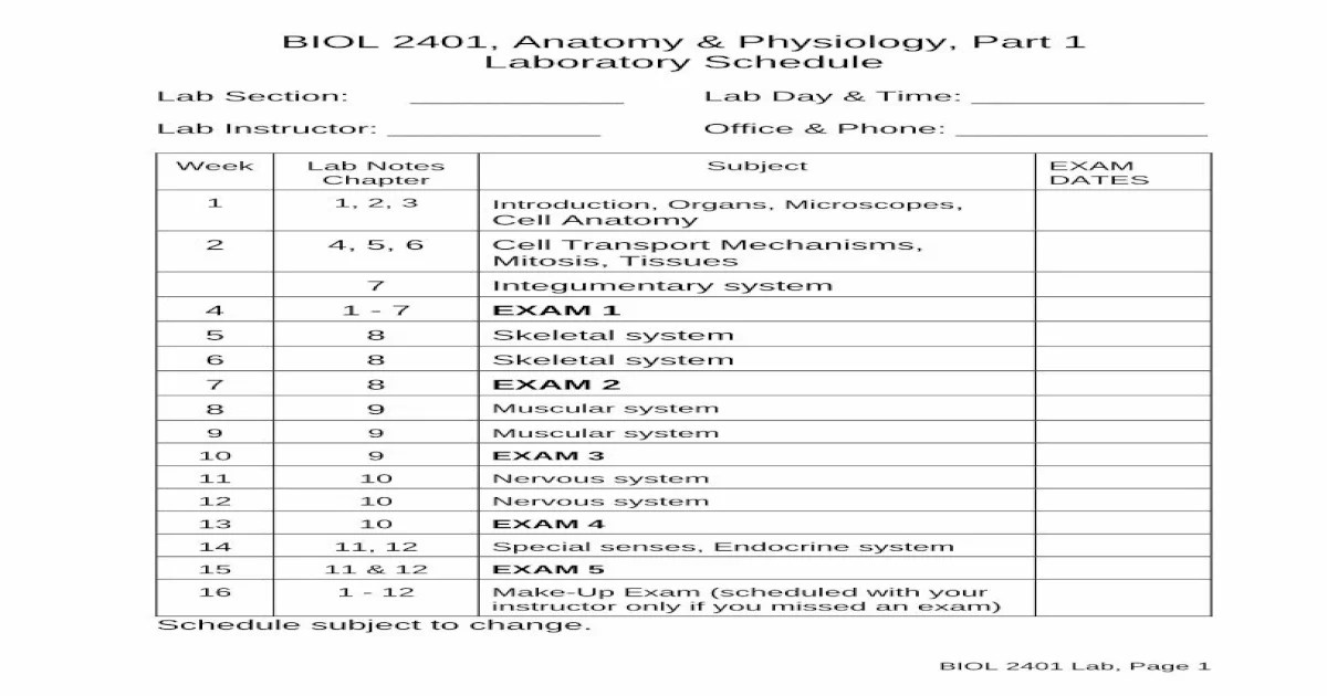 Biol 2401 anatomy and physiology i