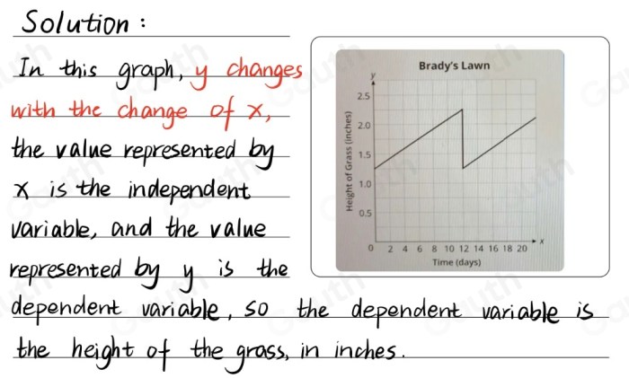 Brady creates the graph below