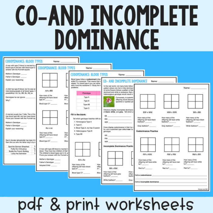 Codominant incomplete dominance practice worksheet