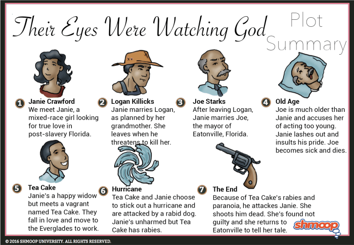 Their eyes were watching god chapter 8 summary